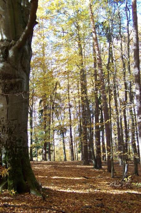 Stilvolles Landhaus Im Dreilaendereck Felsőszölnök Exteriér fotografie