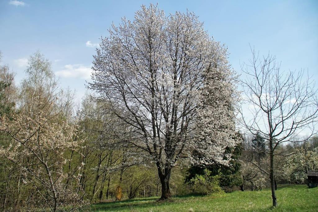 Stilvolles Landhaus Im Dreilaendereck Felsőszölnök Exteriér fotografie