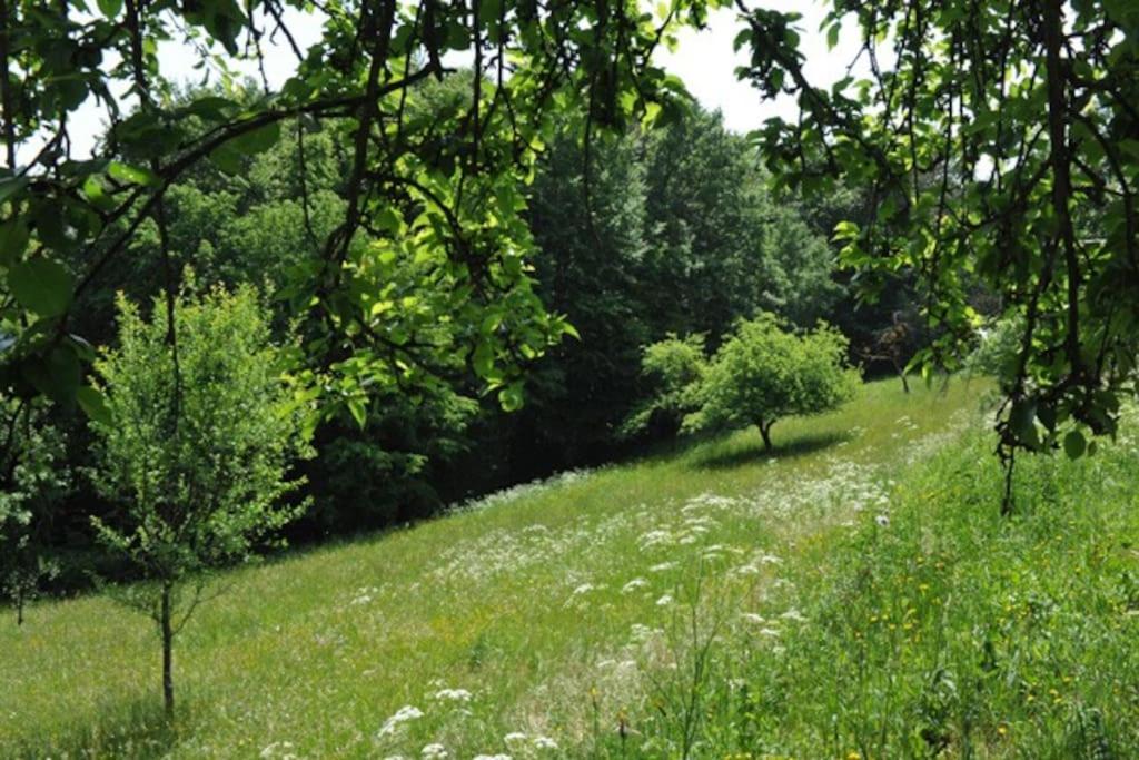 Stilvolles Landhaus Im Dreilaendereck Felsőszölnök Exteriér fotografie